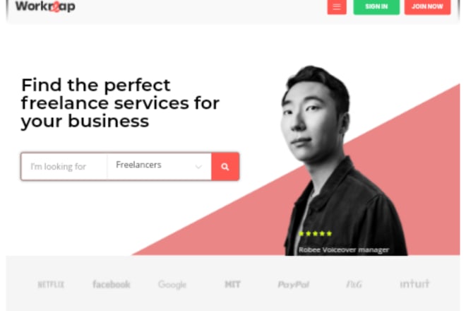 I will build freelancing website or marketplace website like fiverr on wordpress