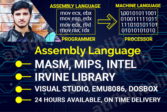 I will code masm and mips assembly language programs and projects