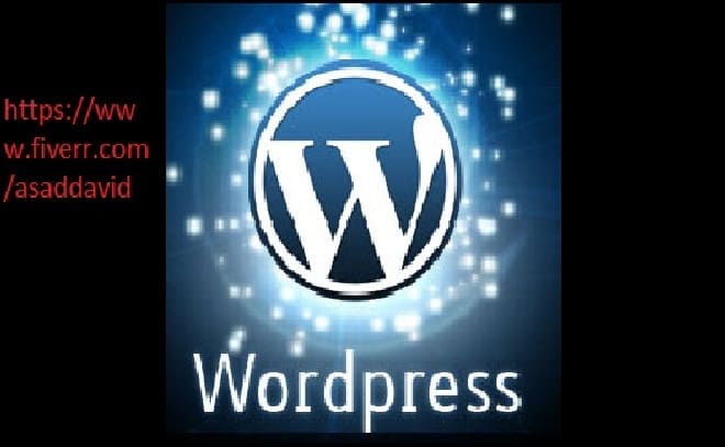 I will create a word press website