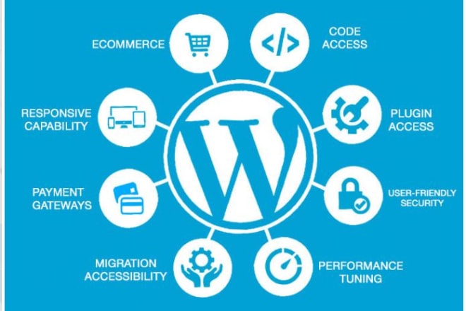 I will create a wordpress professional website maker