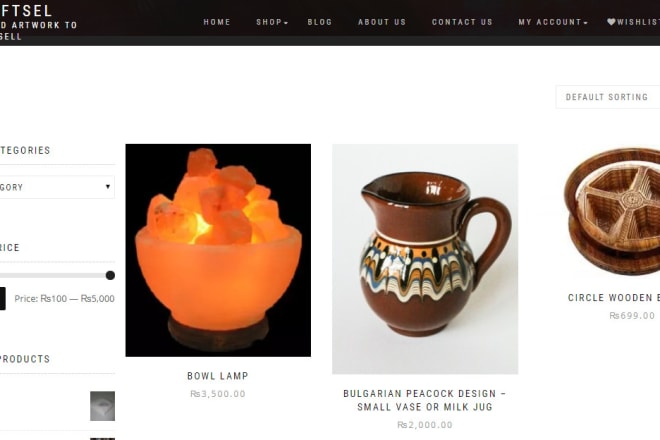 I will create a wordpress website