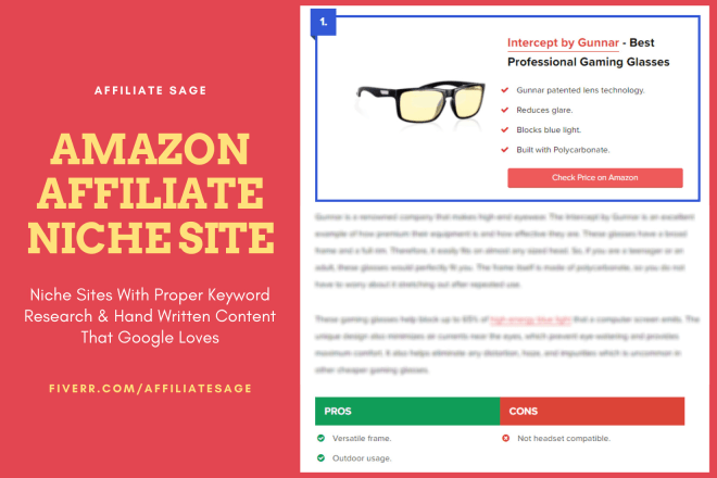 I will create amazon affiliate niche website