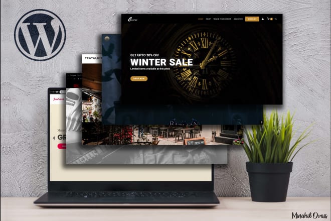 I will create an elegant wordpress website