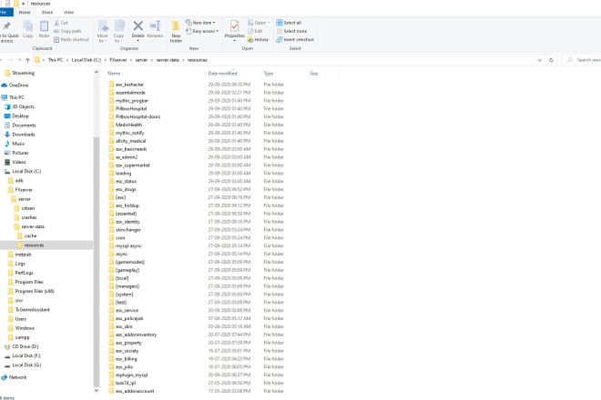 I will create complete fivem server and install mods