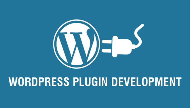 I will create custom wordpress plugin for you