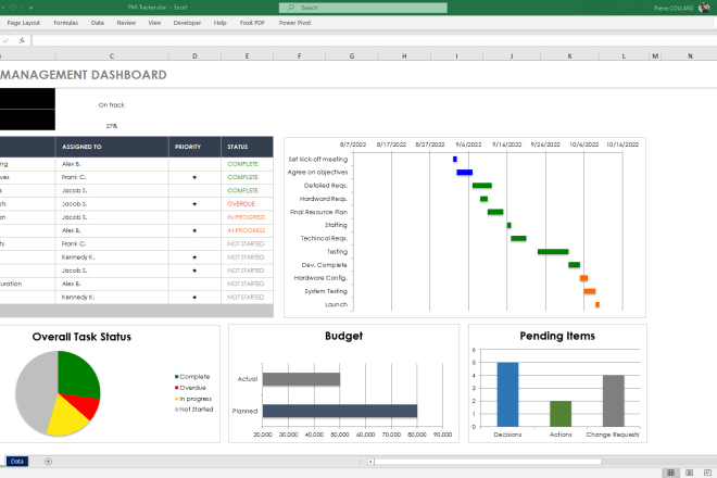 I will create excel graphs, pivot tables, reports and vba macros