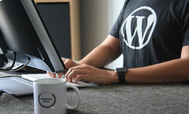 I will create, fix, customize, your wordpress website