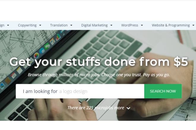I will create micro job freelance wordpress website