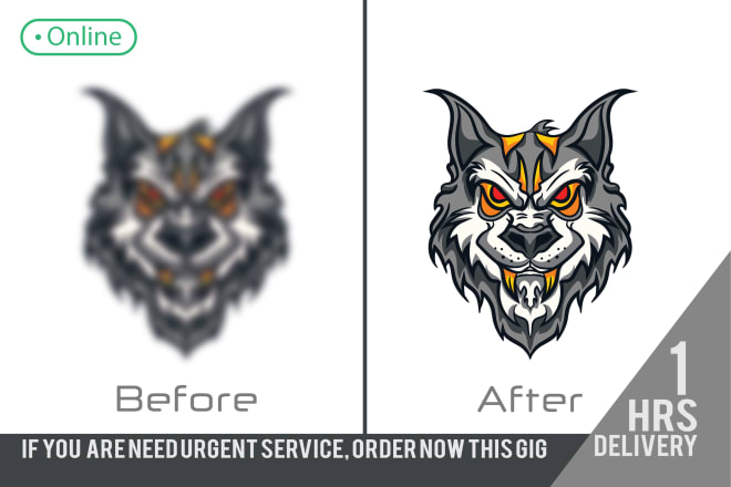 I will create vector format, vectorise, recreate logo, vector redraw