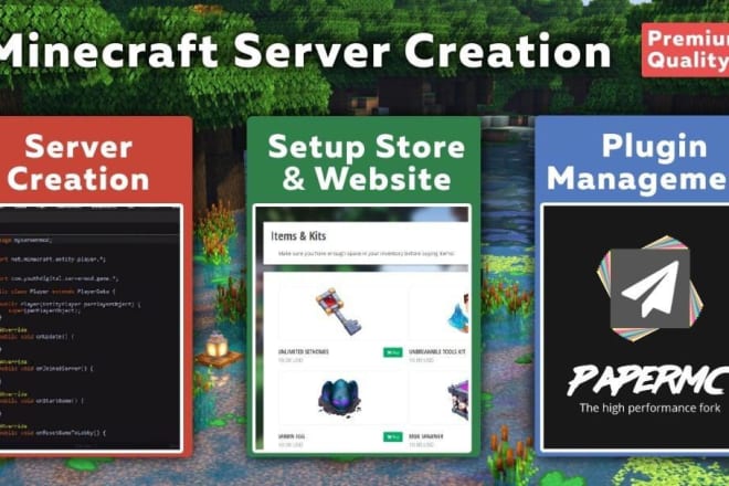 I will creating professional grade minecraft servers