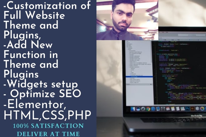 I will customize your full website theme and plugin