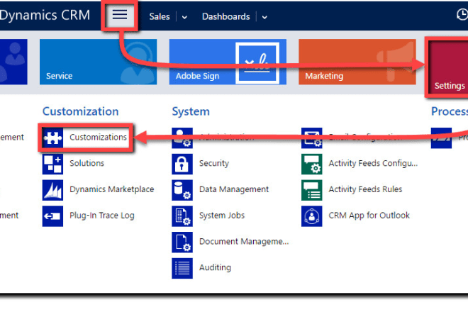 I will customize your microsoft dynamic CRM as per your tasks
