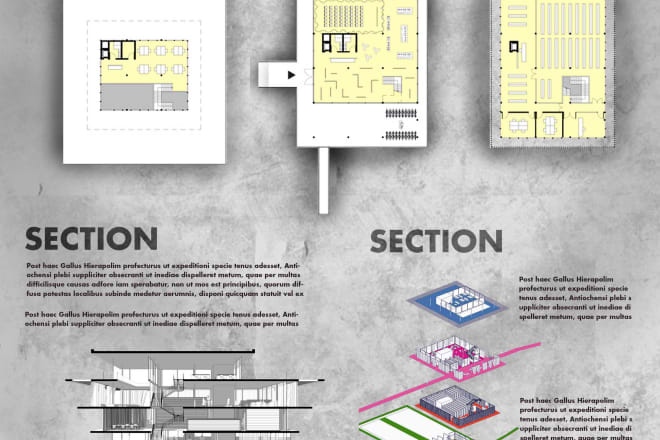 I will design a professional architecture presentation board