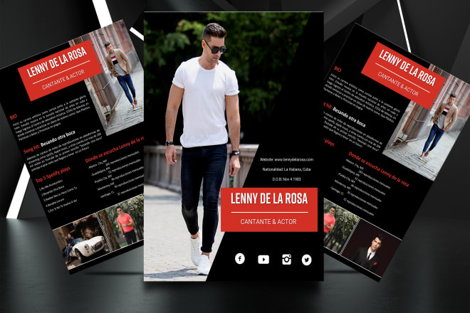 I will design a professional digital media kit,epk, press kit