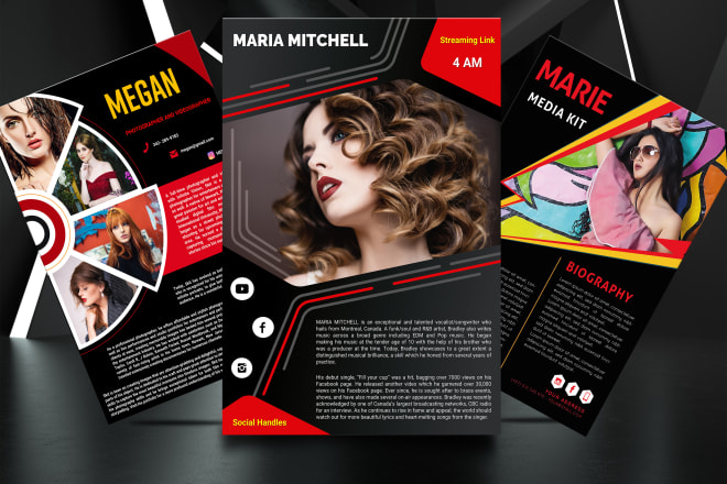 I will design a professional one sheet, media kit, press kit