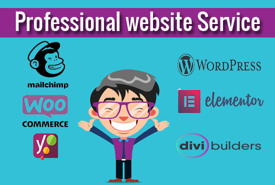 I will design a professional wordpress website at a low price