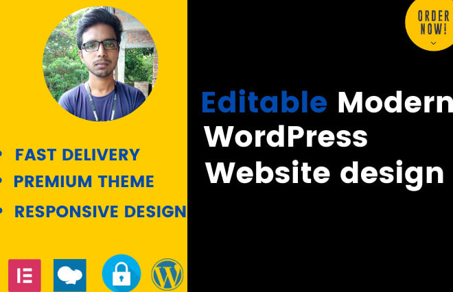 I will design wordpress blog, agency, restaurant, job board website using elementor pro