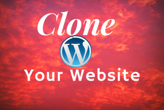 I will design,clone,copy or transfer any website