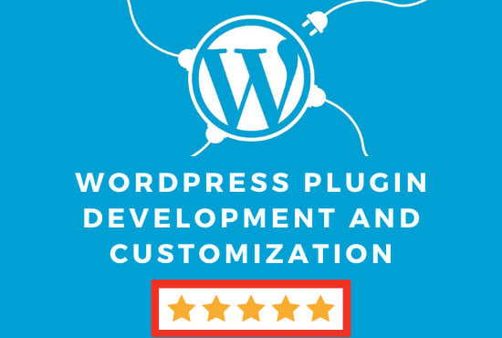 I will develop a custom wordpress plugin