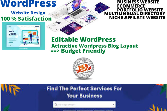 I will develop a professional wordpress website design