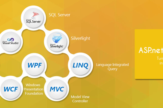 I will develop dotnet, mvc web application with sql database