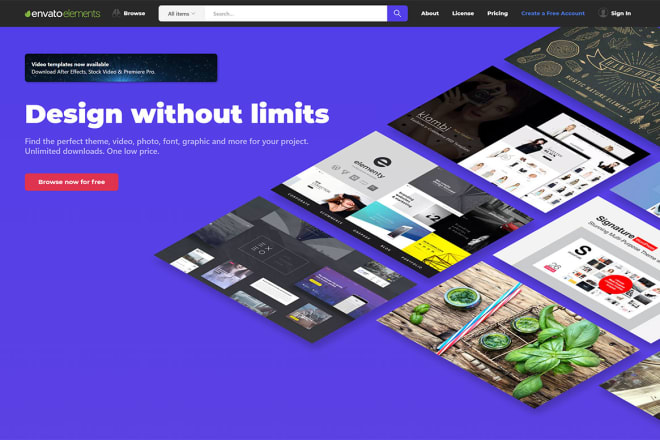 I will develop envato elements wordpress website or any cms website
