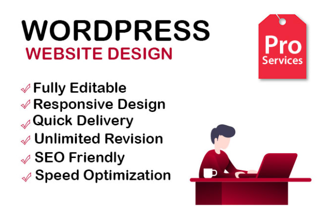 I will develop professional wordpress website design