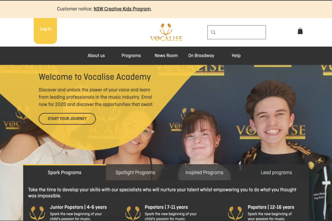 I will develop your professional website with wix, squarespace, weebly and web builders