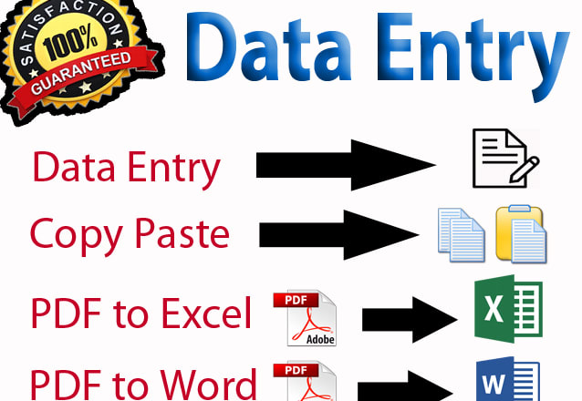 I will do 3 hours data entry services,pdf to excel or word and copy paste work