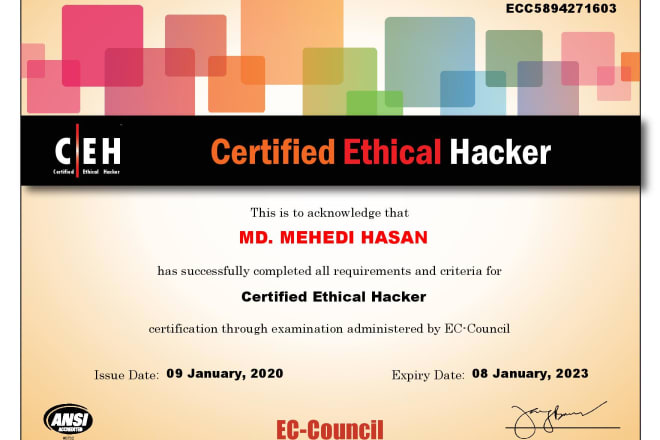 I will do advanced penetration testing of a website or web app with professional report