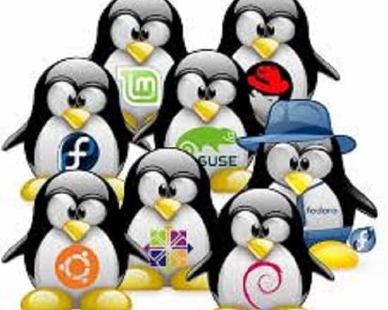 I will do all linux works for you