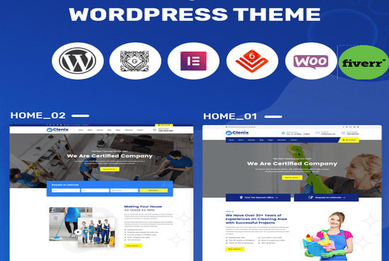 I will do any wordpress theme customization or modification