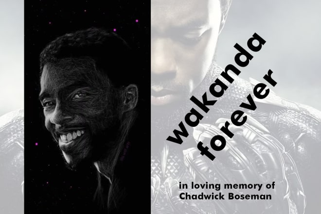 I will do awesome scribble black and white illustration for you