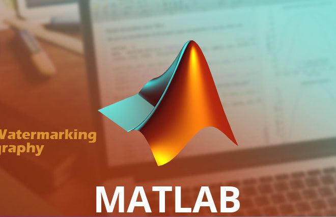 I will do basic matlab scripting services