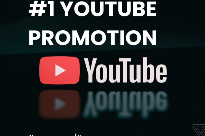 I will do best youtube promotion base on your targeted audience