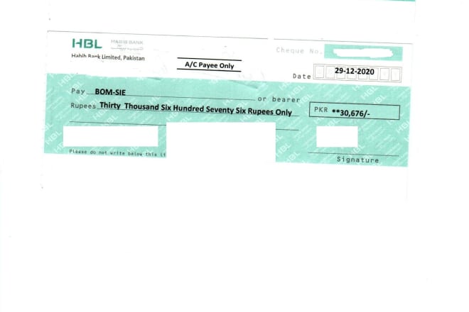 I will do cheques printing solution on ms excel