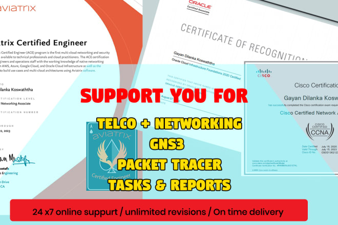 I will do cisco, networking, packet tracer,gns3 tasks and reports