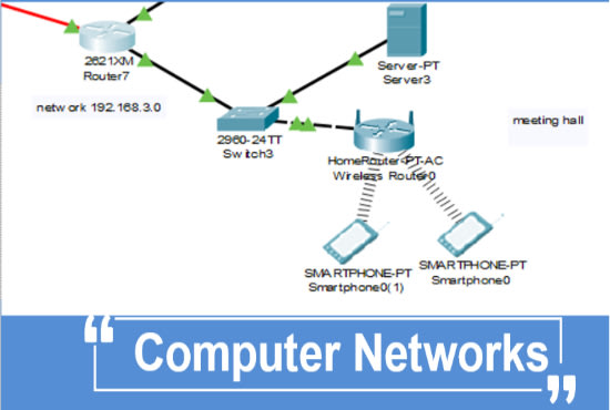 I will do computer networking writing and simulation tasks