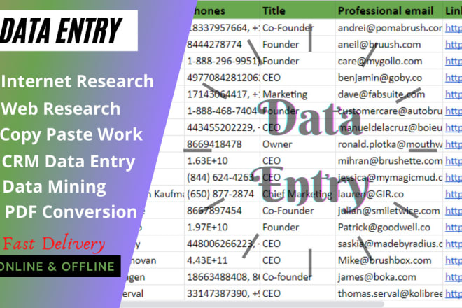 I will do data entry and web research services