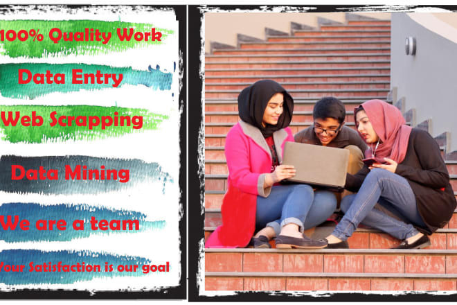I will do data entry, data cleansing and web research