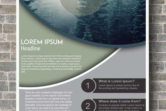 I will do design a custom flyer, poster, brochure in 24 hours