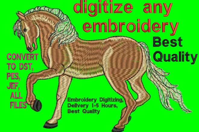 I will do embroidery logo digitizing service