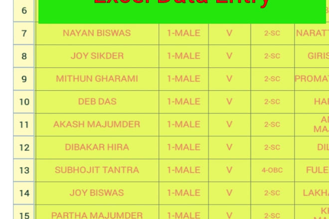 I will do excel data entry and form filling