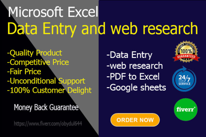 I will do excel data entry, web research services