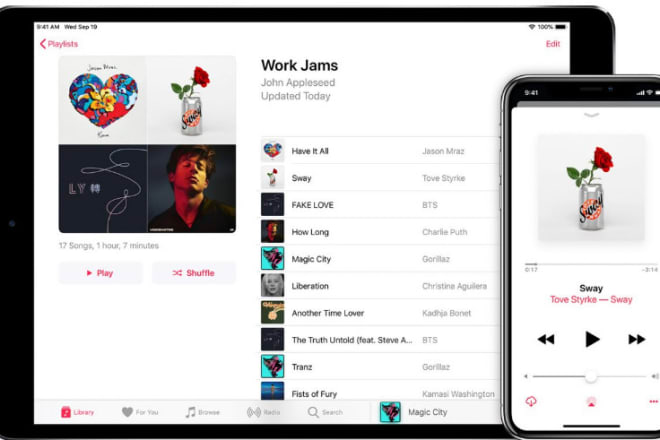 I will do itunes music,apple music promotion to targeted audience