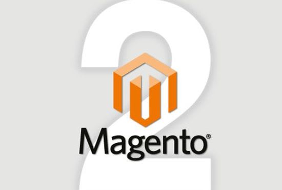 I will do magento 2 development and customization