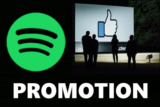 I will do mass organic spotify music promotion playlist with facebook ads