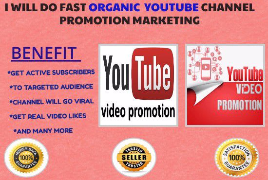 I will do massive and organic youtube promotion to real audience