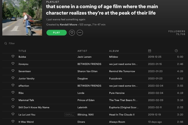 I will do organic and fast promotion for your spotify album