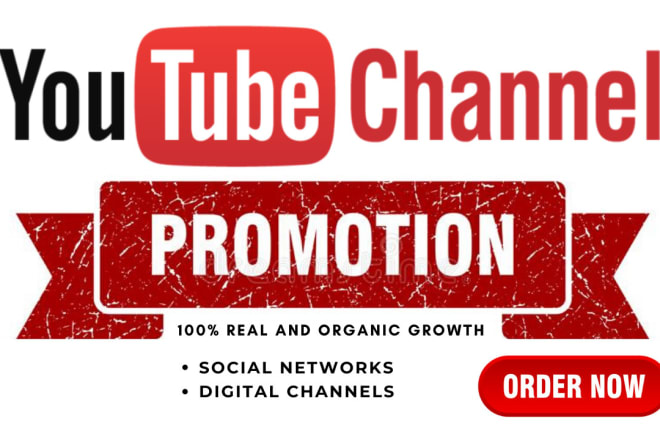 I will do organic youtube promotion to real audience